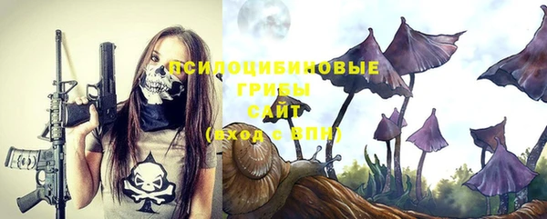 мет Новозыбков